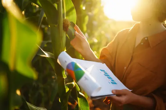 지자체 작물 생산지수 도출 및 생산량 예측 프로젝트