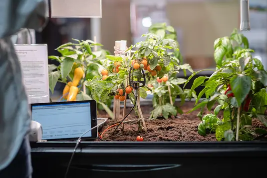 농업기업 농작물 생육 예측 AI 모델 개발