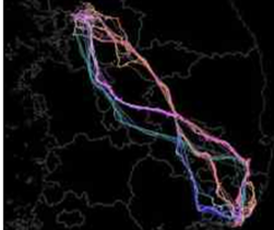 AI 기반 경로 예측 이미지