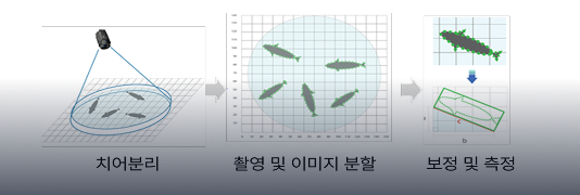 측정 방법 개발