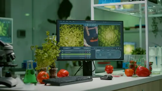 고부가가치 작물 개발 지원